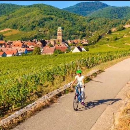 아파트 Bagatelle L'ecrin Du Ried Proche Europapark *