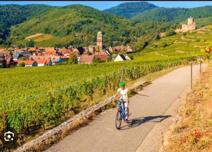 아파트 Bagatelle L'ecrin Du Ried Proche Europapark *
