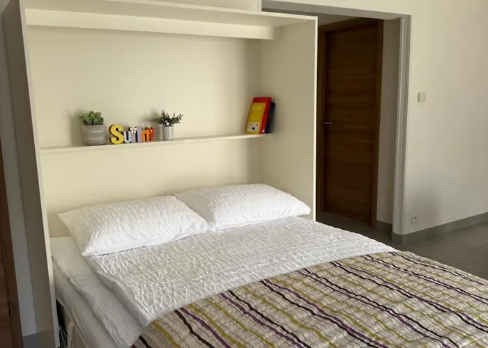 Bagatelle L'ecrin Du Ried Proche Europapark Artolsheim